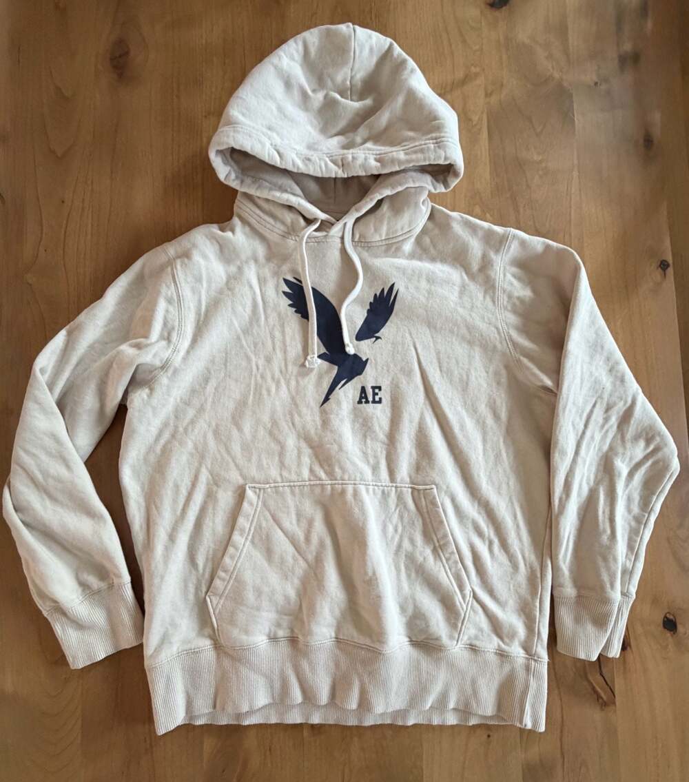 American Eagle Graphic Logo Pullover Hoodie in Sand Large